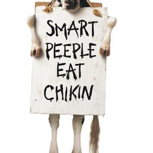 Meet your Posher, Sam